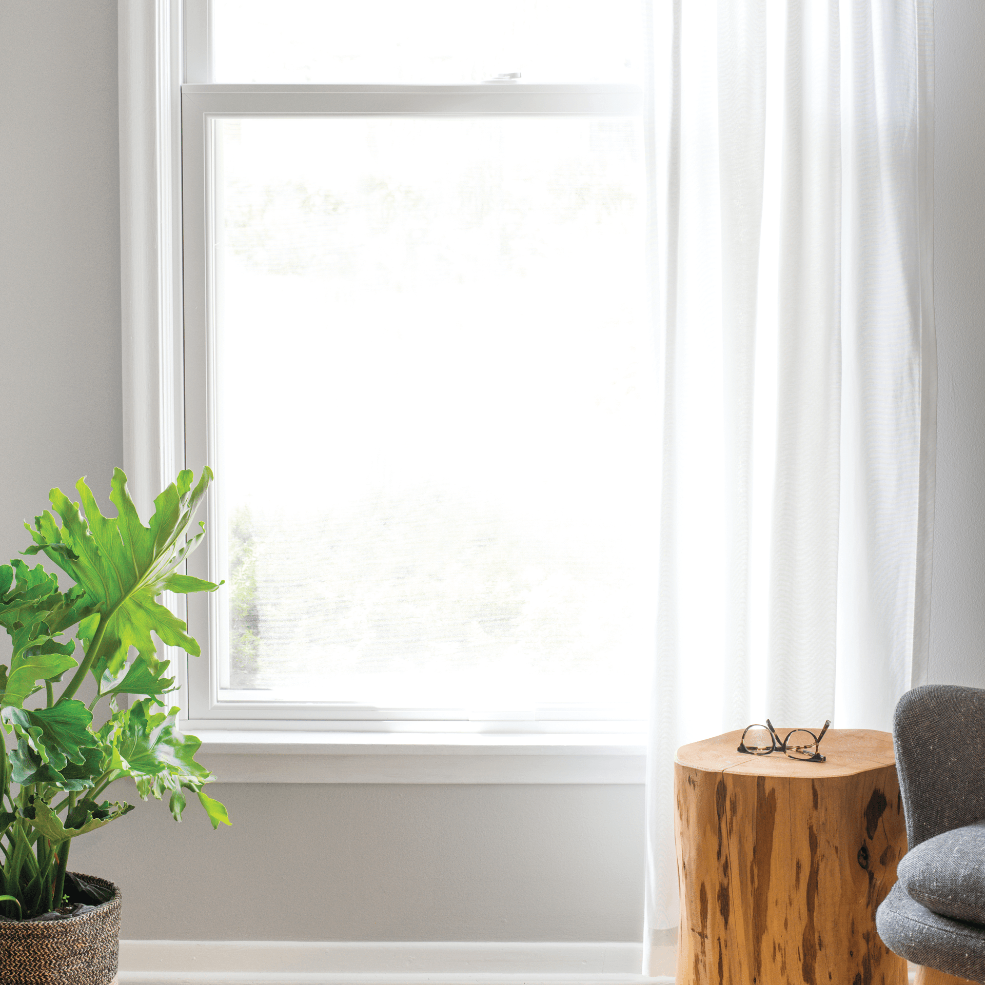 Interior view of a white Infinity double hung window